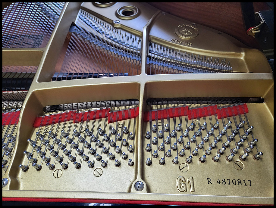 0a99594a3cc8062c5b75c1d82e3c1fe3_1673608