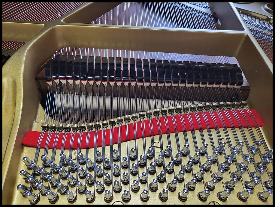 0a99594a3cc8062c5b75c1d82e3c1fe3_1673608