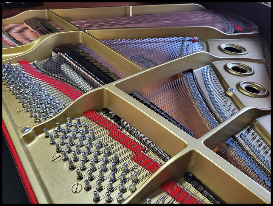 0a99594a3cc8062c5b75c1d82e3c1fe3_1673608