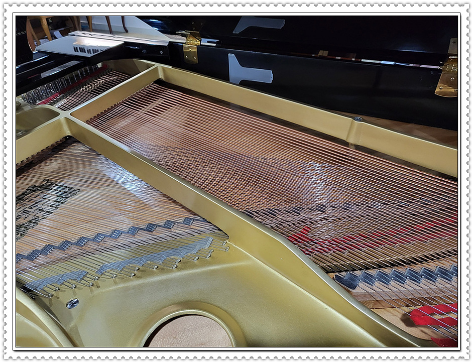 29d87556e907a29bc981932410876a42_1675495