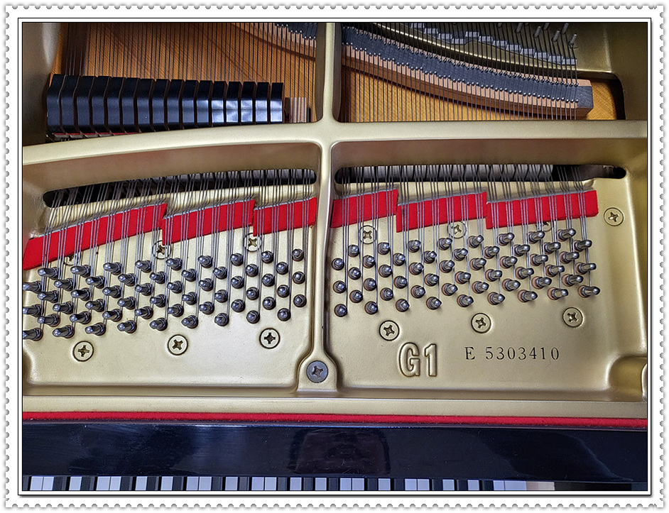 29d87556e907a29bc981932410876a42_1675495