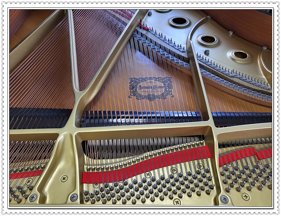 29d87556e907a29bc981932410876a42_1675495