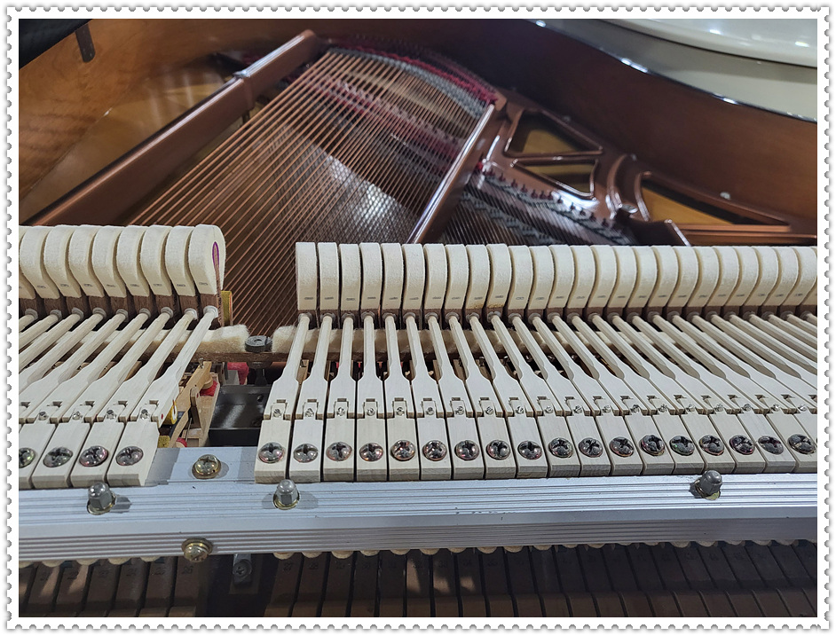 f219f7d90a0c5c63c179caa3acff74f6_1681388