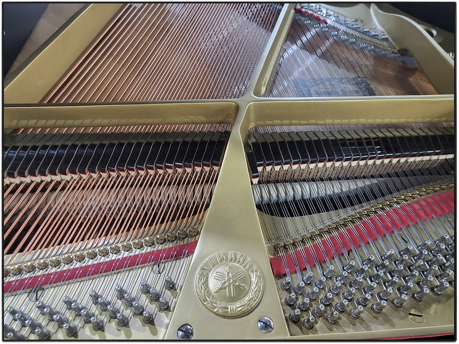 e65ae62e886d6c2063e6c1918b6ff164_1697271