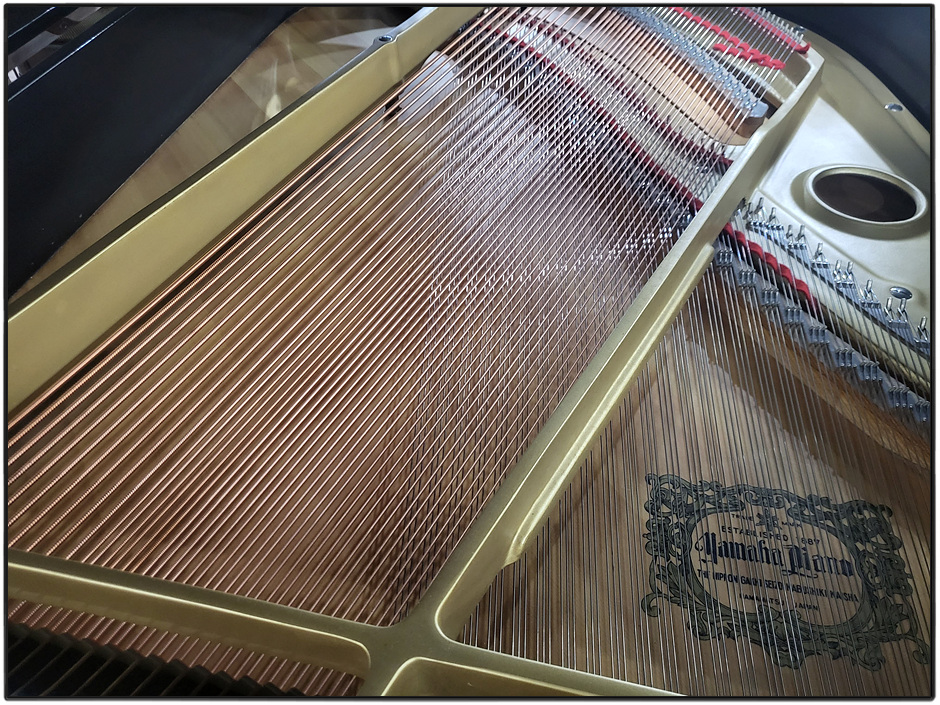 e65ae62e886d6c2063e6c1918b6ff164_1697271