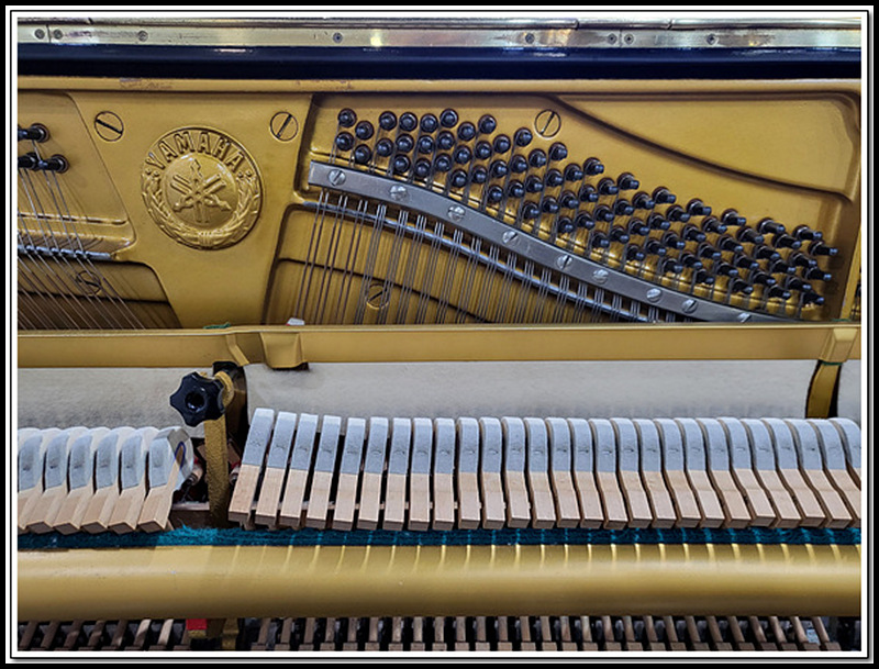 f3285794bc97c0e47db1f0817db87852_1717827