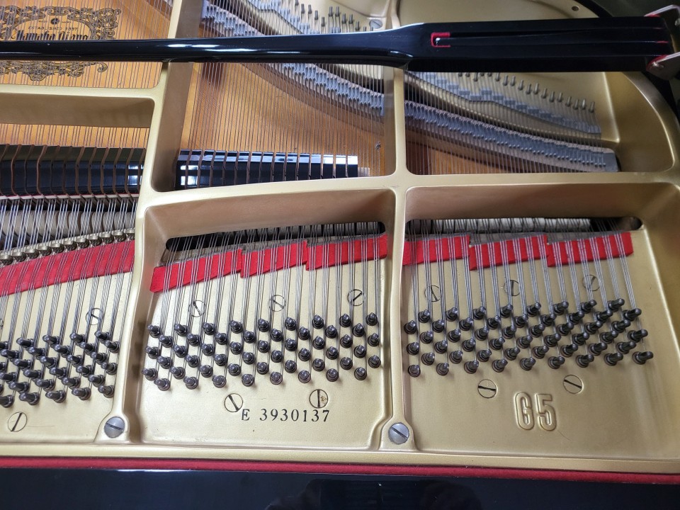 630da6576048b016cb35063b583311ae_1722862