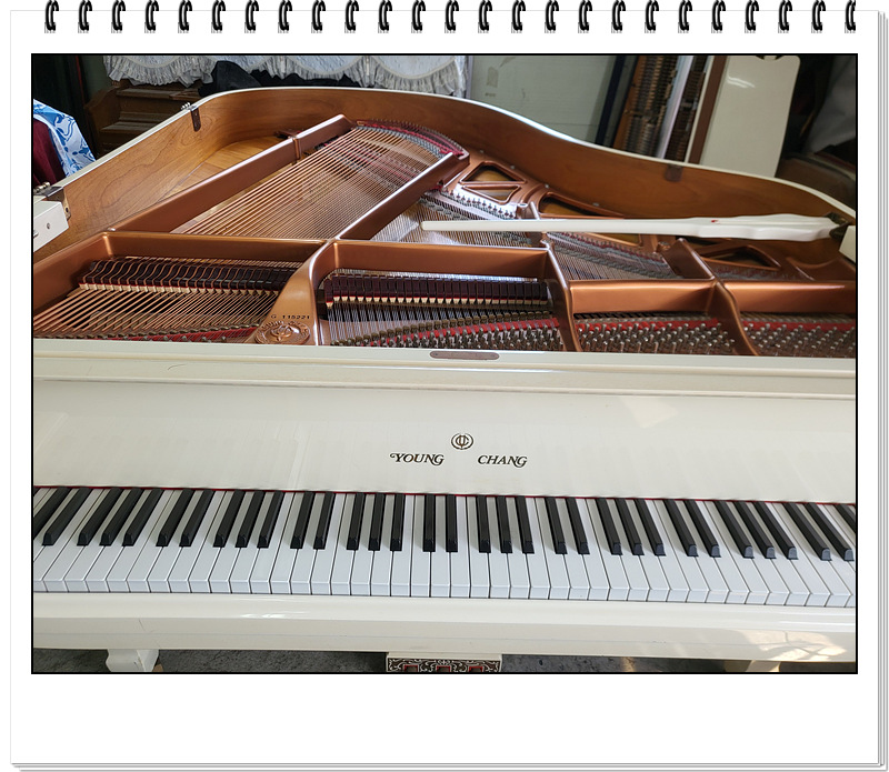 18f29887ffb22e614ba85b993eb49125_1726388