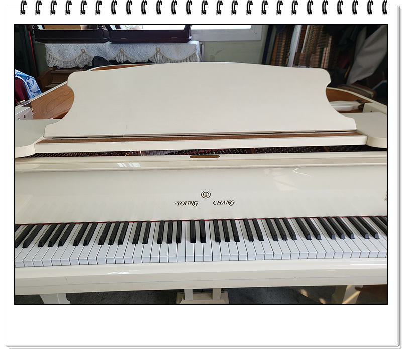 18f29887ffb22e614ba85b993eb49125_1726388