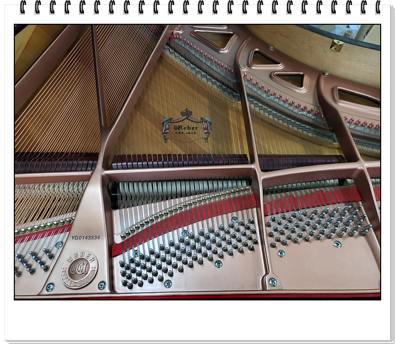 18f29887ffb22e614ba85b993eb49125_1726389402_0194.jpg 18f29887ffb22e614ba85b993eb49125_1726389