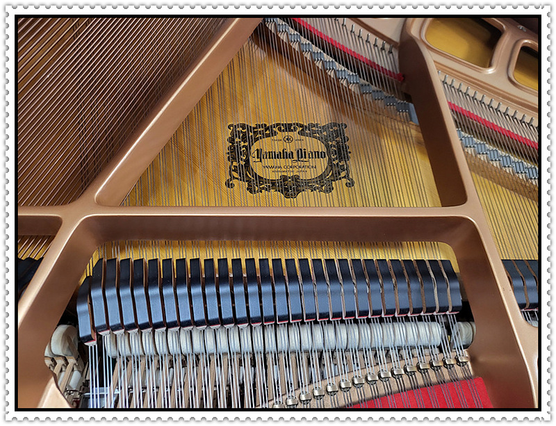 1d7c2649f069312f4657ba1fc2fbdef2_1728044