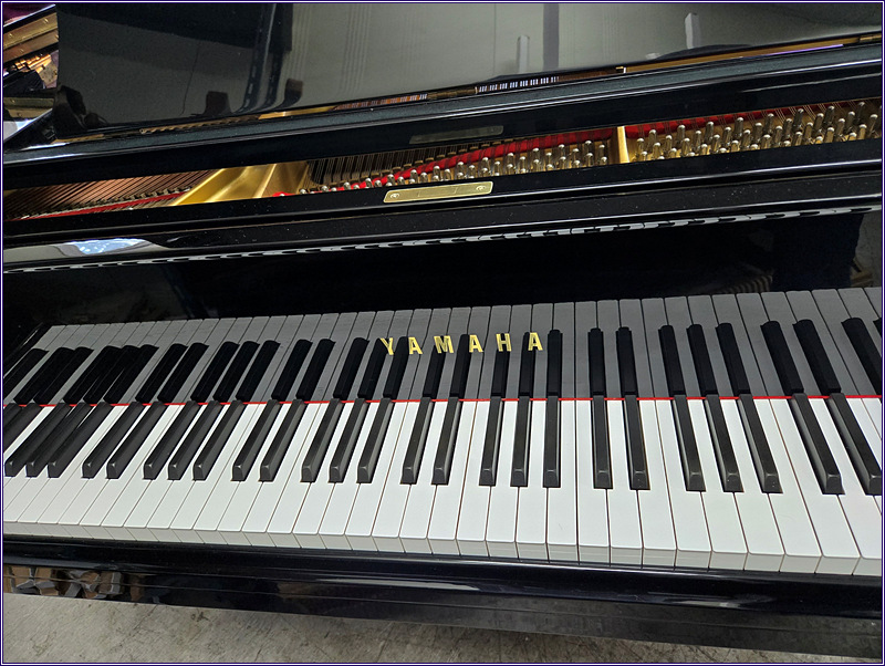 3655e23e07780ab9555a84bfda0b98eb_1733900