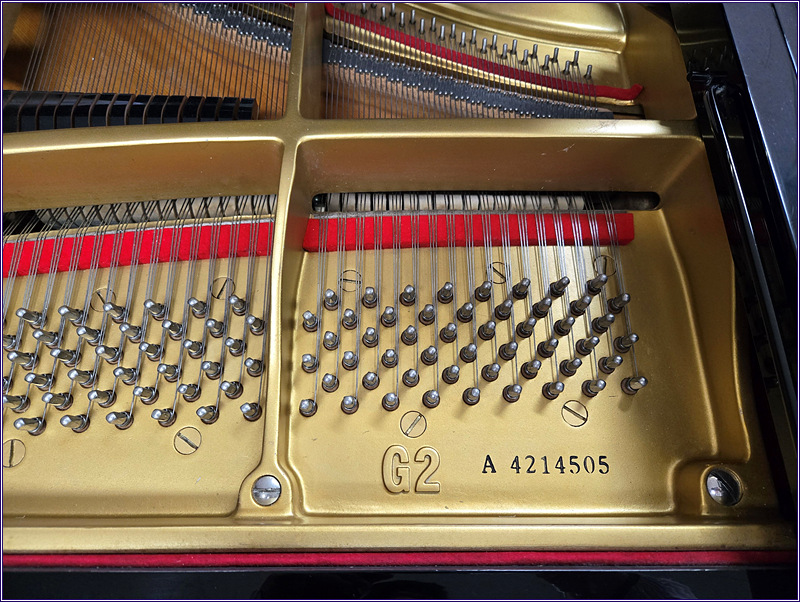 3655e23e07780ab9555a84bfda0b98eb_1733900