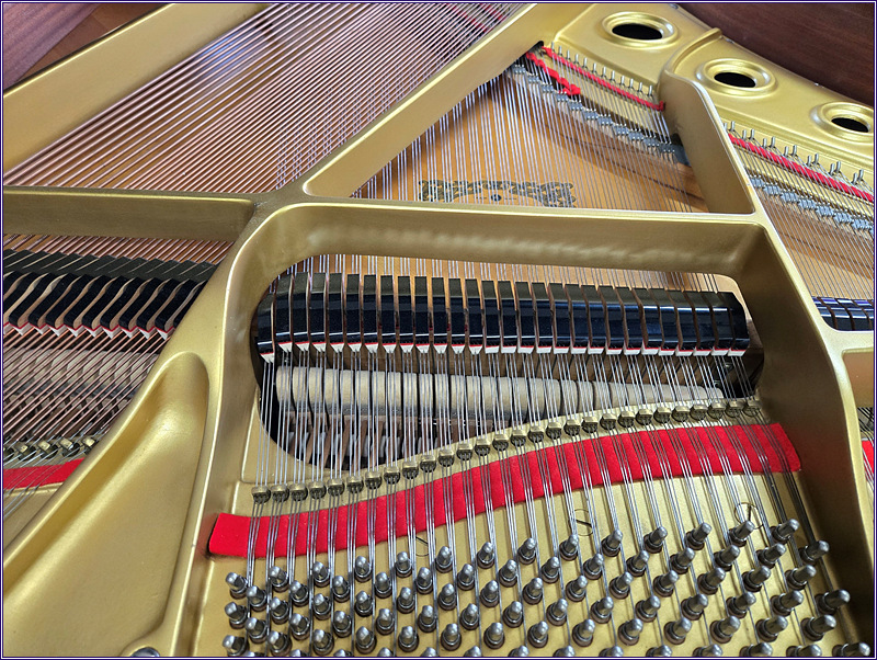 3655e23e07780ab9555a84bfda0b98eb_1733900