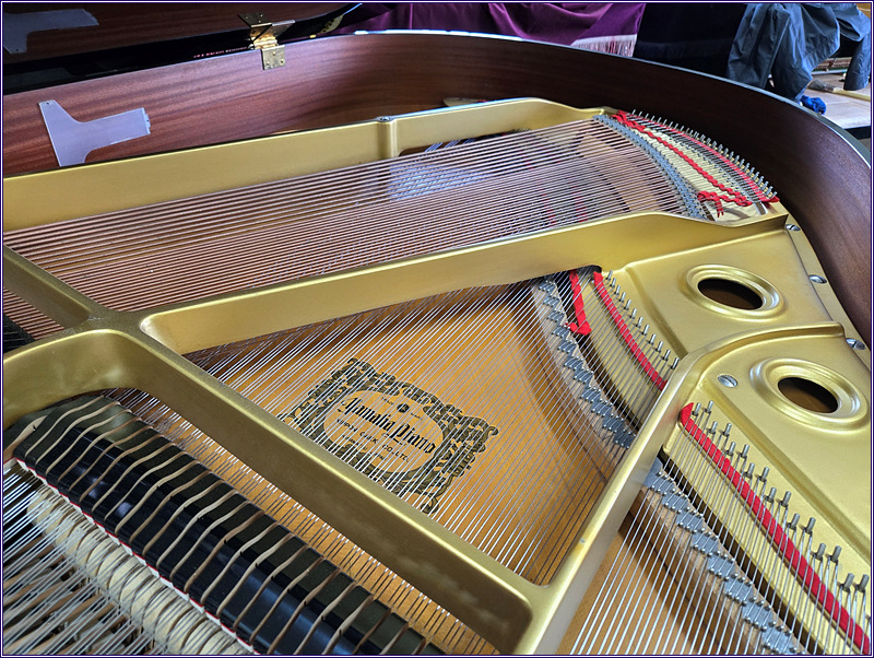 3655e23e07780ab9555a84bfda0b98eb_1733900