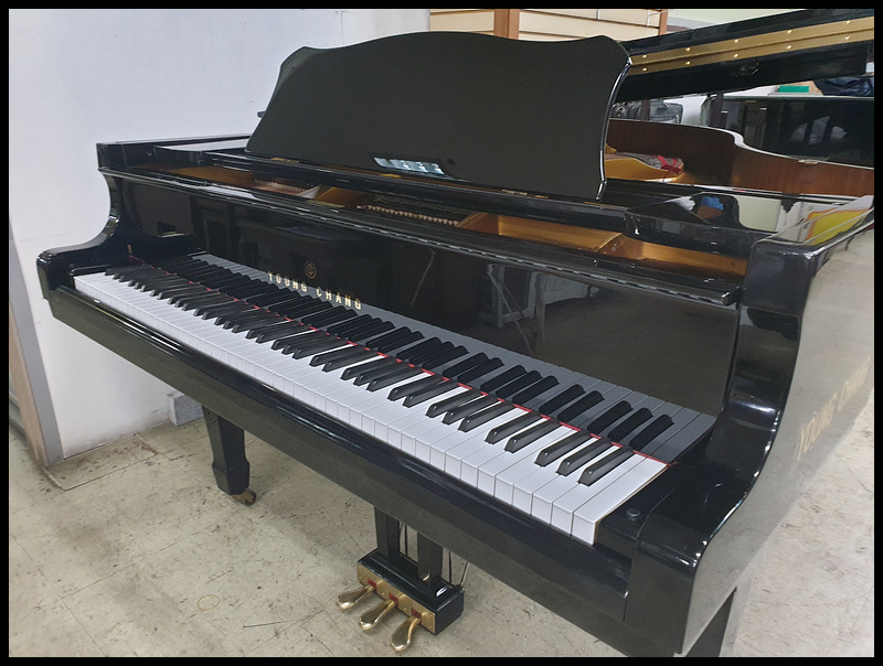 cd524118a6f2617ccab49dab03fd8455_1743231