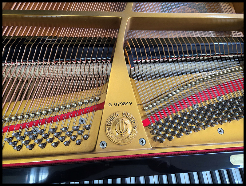 cd524118a6f2617ccab49dab03fd8455_1743231