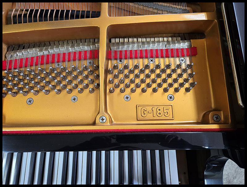 cd524118a6f2617ccab49dab03fd8455_1743231