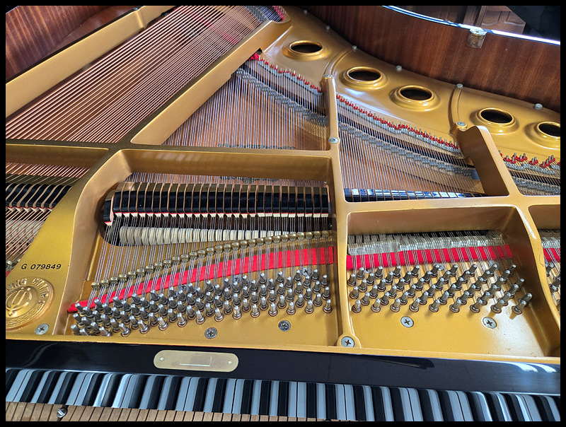 cd524118a6f2617ccab49dab03fd8455_1743231