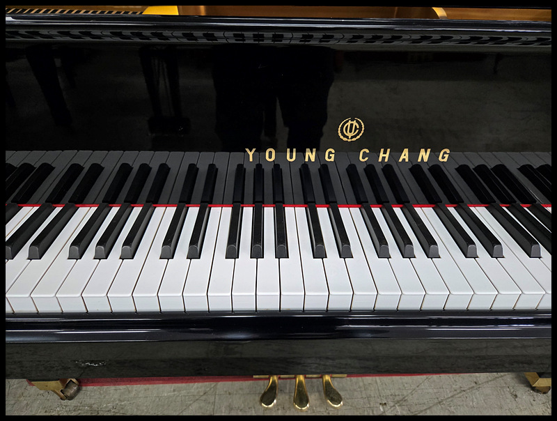 cd524118a6f2617ccab49dab03fd8455_1743231