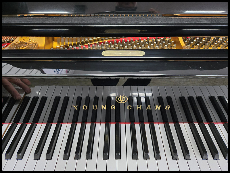 cd524118a6f2617ccab49dab03fd8455_1743231