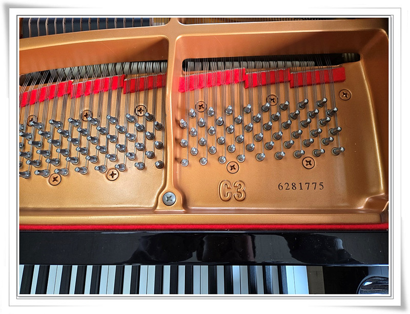 db677e659928b8b317bd9bee01a6e235_1750311642_2865.jpg db677e659928b8b317bd9bee01a6e235_1750311