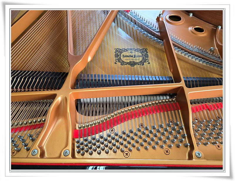 db677e659928b8b317bd9bee01a6e235_1750311650_2976.jpg db677e659928b8b317bd9bee01a6e235_1750311