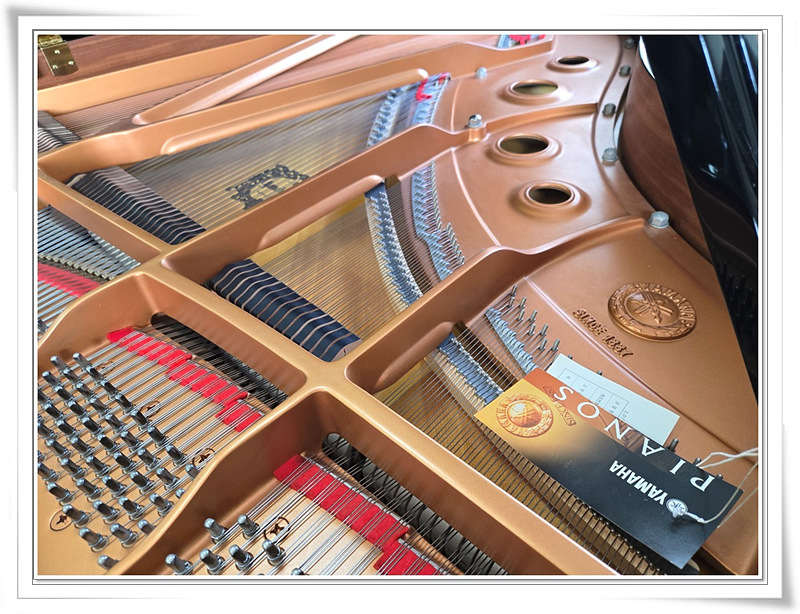 db677e659928b8b317bd9bee01a6e235_1750311650_3551.jpg db677e659928b8b317bd9bee01a6e235_1750311