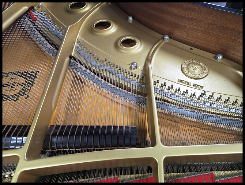 632bc27b4675ed9632b288cf9dd38b45_1755329748_6952.jpg 632bc27b4675ed9632b288cf9dd38b45_1755329