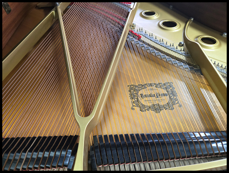 632bc27b4675ed9632b288cf9dd38b45_1755329759_9811.jpg 632bc27b4675ed9632b288cf9dd38b45_1755329