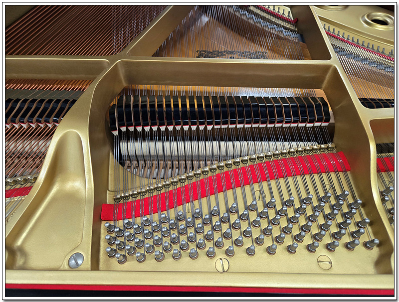 8cb4ac606f3c881bc2d4440e6e377735_1756196