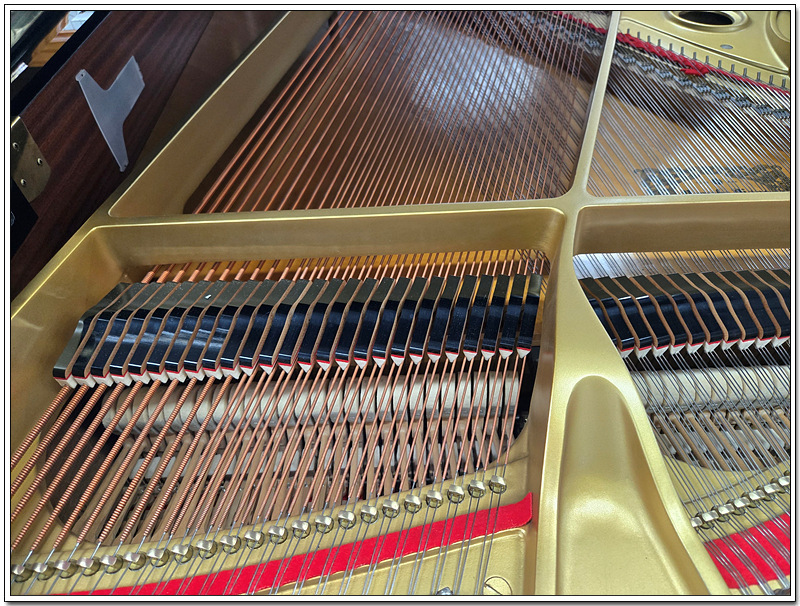 8cb4ac606f3c881bc2d4440e6e377735_1756196