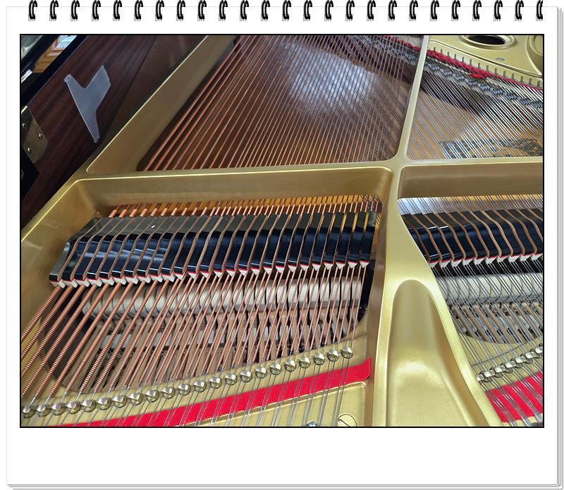 a72a42fafa8e7a289ac4c0d9b17892c8_1756696154_2224.jpg a72a42fafa8e7a289ac4c0d9b17892c8_1756696