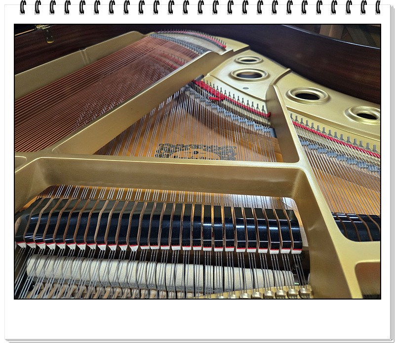 a72a42fafa8e7a289ac4c0d9b17892c8_1756696154_2781.jpg a72a42fafa8e7a289ac4c0d9b17892c8_1756696