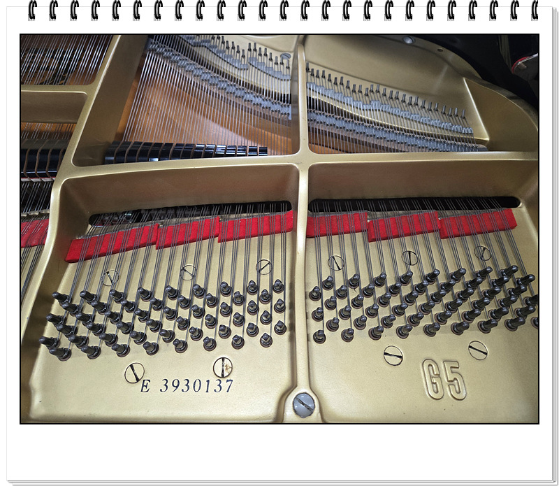 a72a42fafa8e7a289ac4c0d9b17892c8_1756696154_3725.jpg a72a42fafa8e7a289ac4c0d9b17892c8_1756696