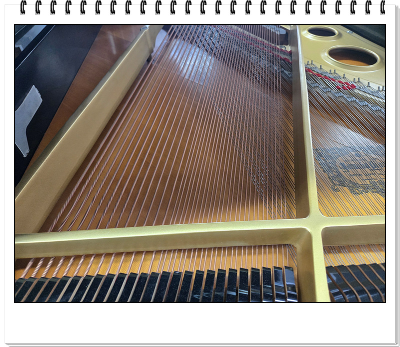 a72a42fafa8e7a289ac4c0d9b17892c8_1756696154_5168.jpg a72a42fafa8e7a289ac4c0d9b17892c8_1756696