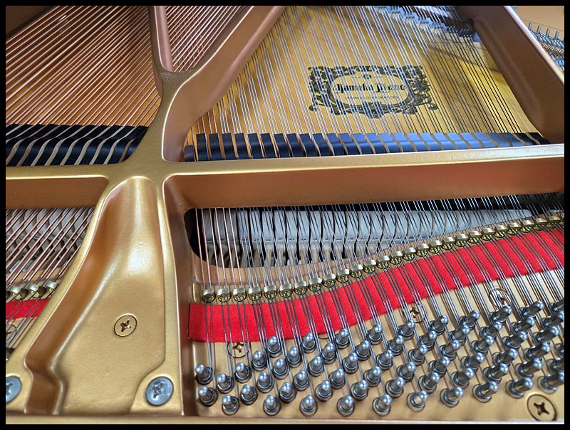 8b17a4b7f0c49e17bad56be9edf59ec0_1759630085_4992.jpg 8b17a4b7f0c49e17bad56be9edf59ec0_1759630