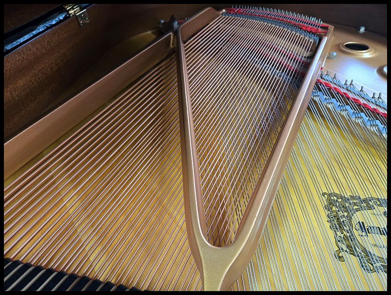 8b17a4b7f0c49e17bad56be9edf59ec0_1759630085_5739.jpg 8b17a4b7f0c49e17bad56be9edf59ec0_1759630