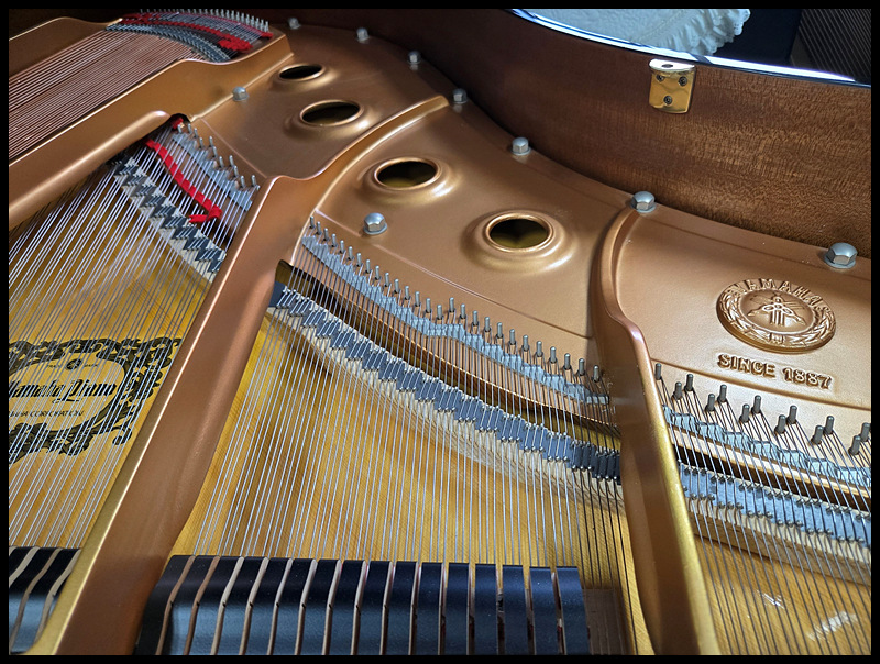 8b17a4b7f0c49e17bad56be9edf59ec0_1759630085_6289.jpg 8b17a4b7f0c49e17bad56be9edf59ec0_1759630