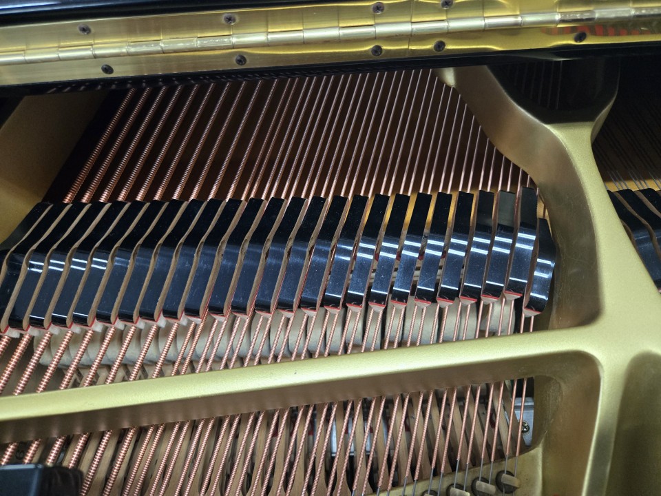 8b17a4b7f0c49e17bad56be9edf59ec0_1759631