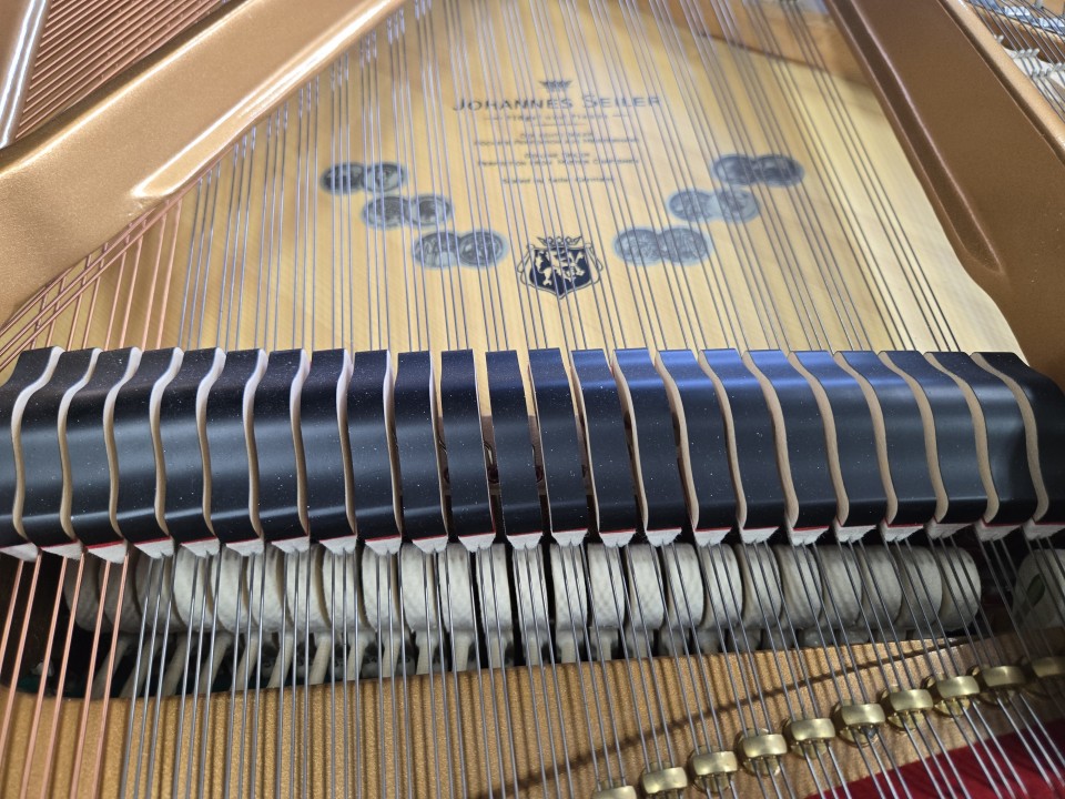 7150f7440b5d2bc42a2c933609a60b9e_1762429