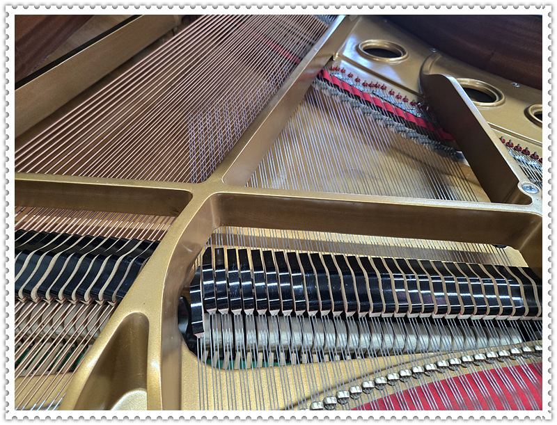 b671dbd91e0e8b73054b59900faa44ea_1769486642_7973.jpg b671dbd91e0e8b73054b59900faa44ea_1769486