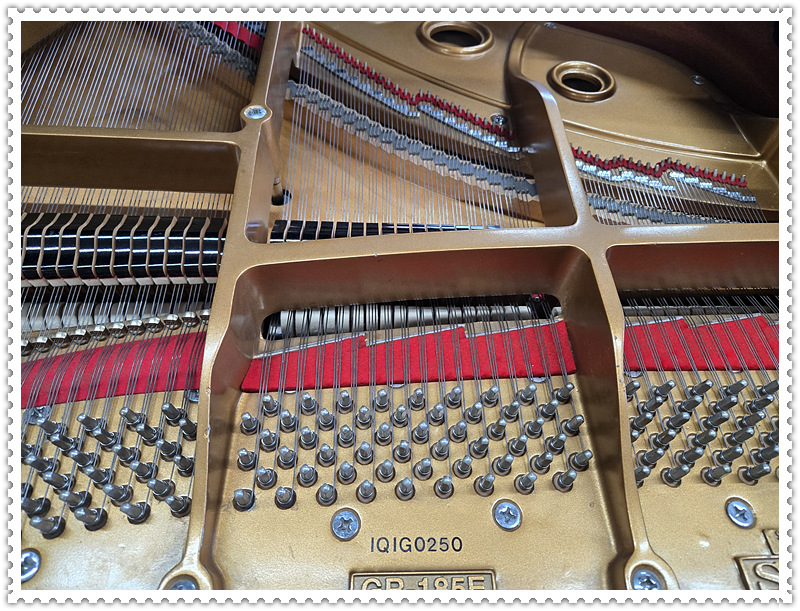 b671dbd91e0e8b73054b59900faa44ea_1769486642_8634.jpg b671dbd91e0e8b73054b59900faa44ea_1769486