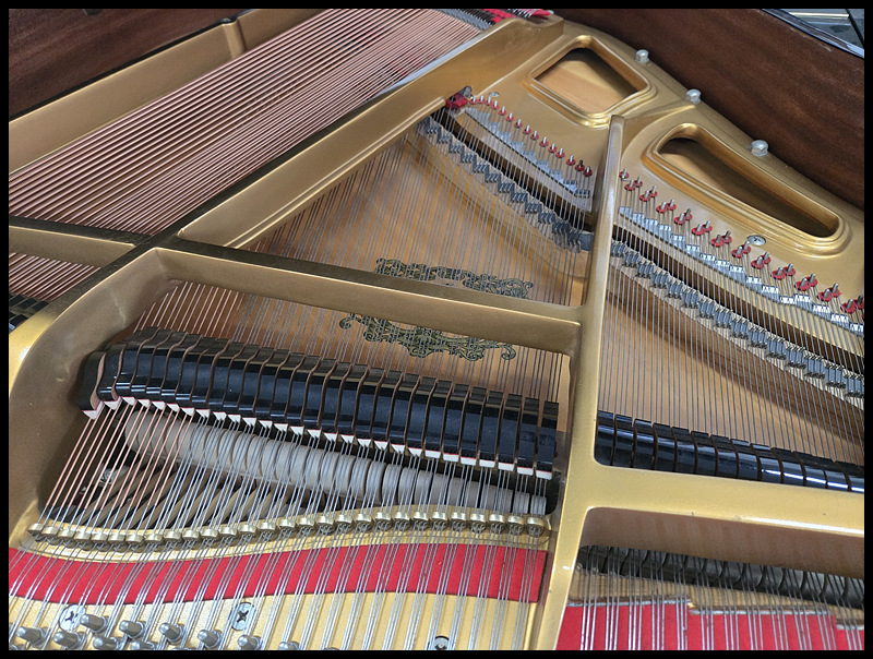 76cbfaa2c2c5f59ff04455a4c212038e_1772262