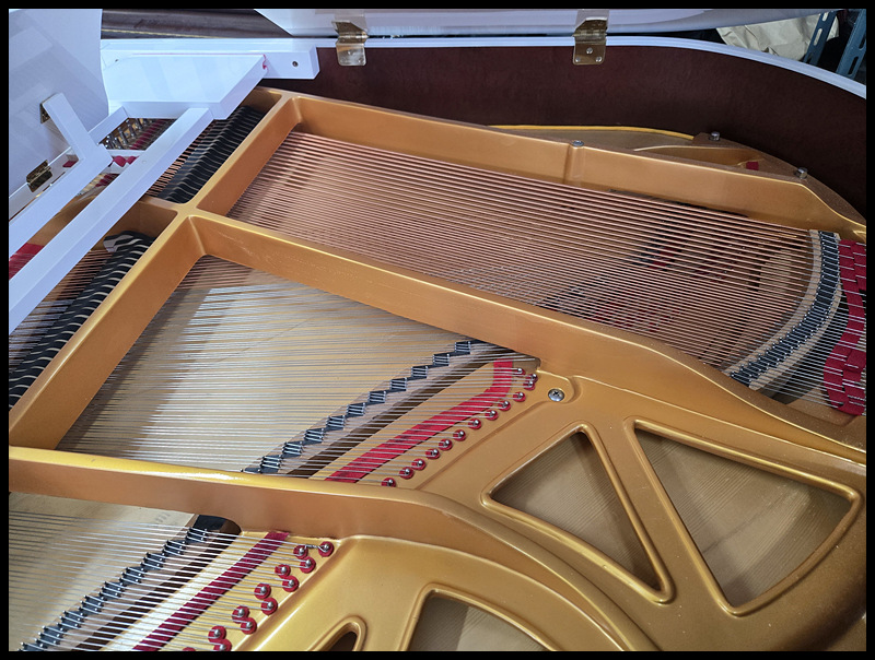 76cbfaa2c2c5f59ff04455a4c212038e_1772265480_4871.jpg 76cbfaa2c2c5f59ff04455a4c212038e_1772265