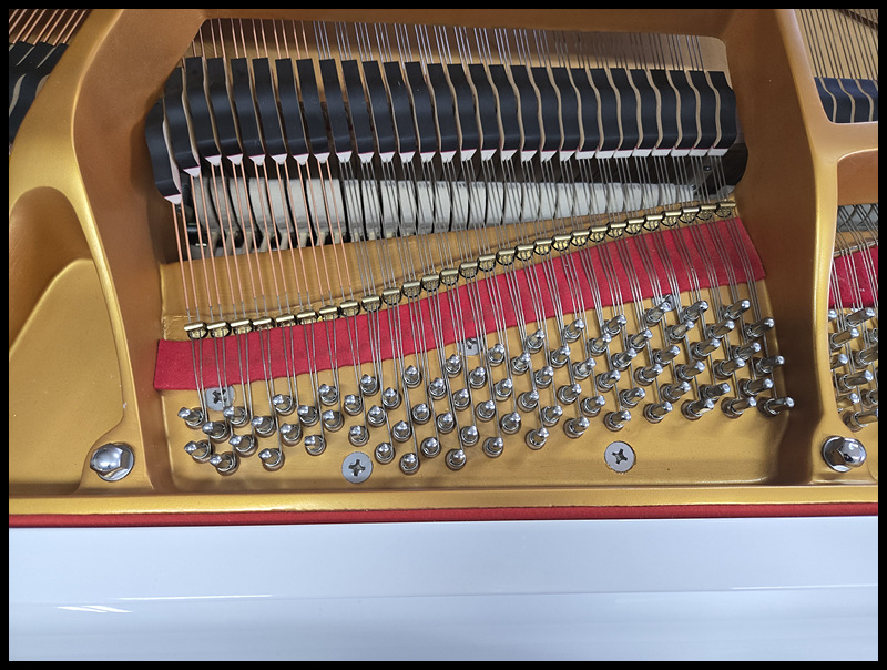 76cbfaa2c2c5f59ff04455a4c212038e_1772265480_6324.jpg 76cbfaa2c2c5f59ff04455a4c212038e_1772265