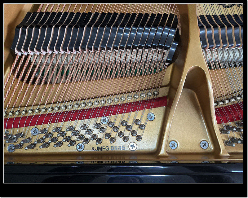 beb1cc844d55550608d0696861374998_1770897305_2564.jpg beb1cc844d55550608d0696861374998_1770897