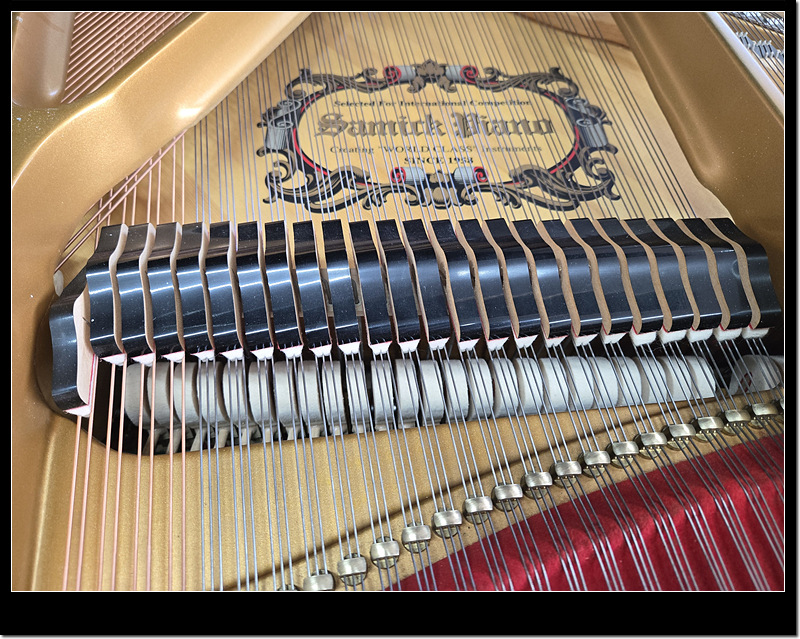 beb1cc844d55550608d0696861374998_1770897305_3826.jpg beb1cc844d55550608d0696861374998_1770897