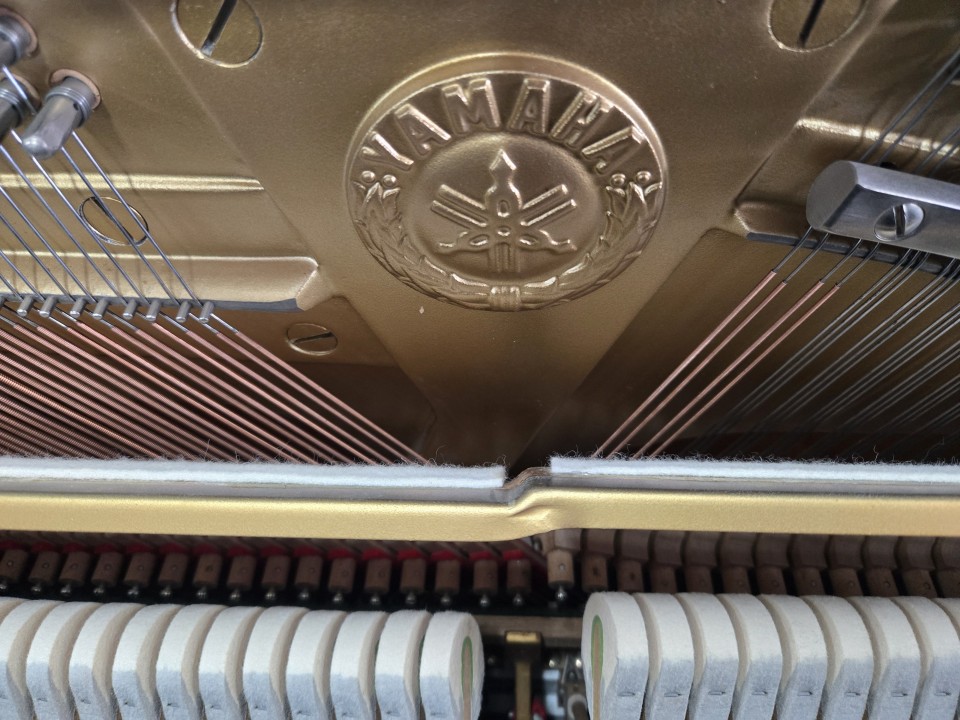 dda9977161b78f7432eaa5ce749ac35f_1774934