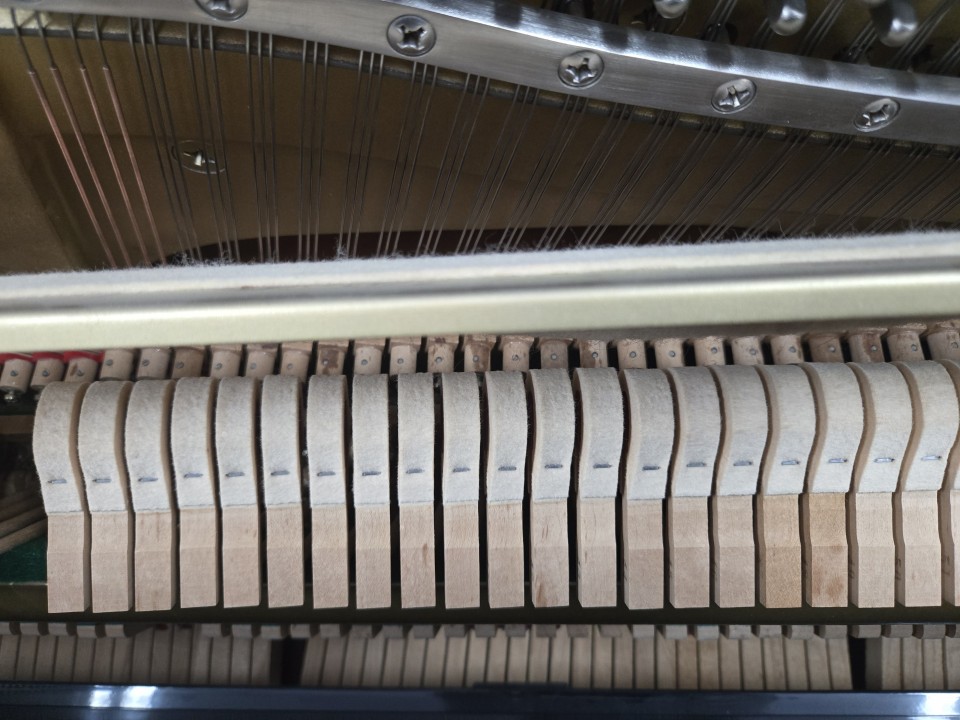 dda9977161b78f7432eaa5ce749ac35f_1774934